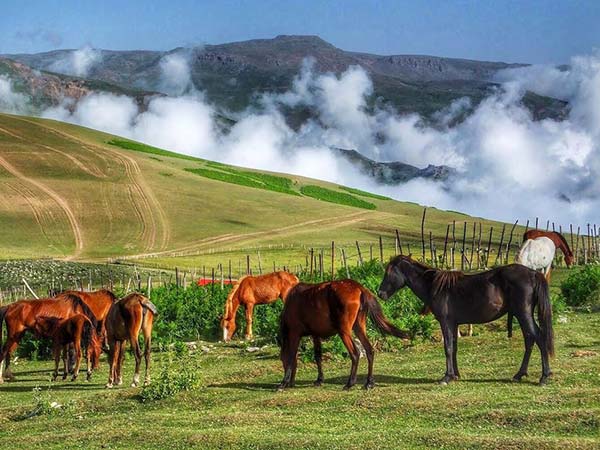 گیلان بهشت سرسبز گیلان بهشت سرسبز