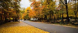 جاذبه های دیدنی ایران جاذبه های دیدنی ایران